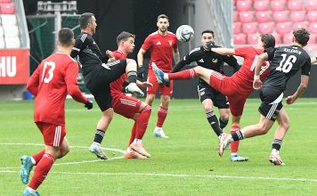 DSC_0938-356x220 Kezdőlap