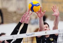 Nem termett babér Kazincbarcikán