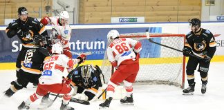 DSC_2566-324x160 Kezdőlap