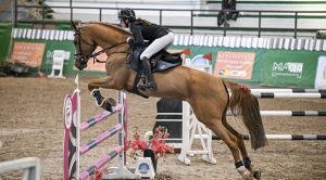 HermannZsofi_Quantico2-300x166 Sikeresen debütált egyetemi színekben Hermann Zsófia