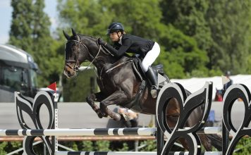135-cm-Equilannoo-U25-nagydij-Fabian-Johanna-es-Sputnik-2-356x220 Kezdőlap