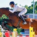 CSIO2026majus_SzaboGabor_BizarVDL_4-150x150 Médiaajánlat