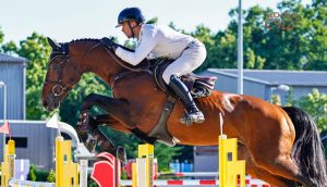 CSIO2026majus_SzaboGabor_BizarVDL_4-300x172 Pazar teljesítményt nyújtott a DEAC lovasa