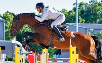 Debreceni Sportélet CSIO2026majus_SzaboGabor_BizarVDL_4-356x220 Kezdőlap