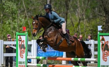 Szabo_Marias_Freya_GSH_cup-356x220 Kezdőlap