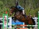 Szabo_Marias_Freya_GSH_cup-80x60 Kezdőlap